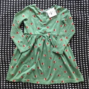 NWT Hanna Andersson Green Dress Size 120